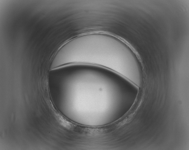 X0000083651289200702120826