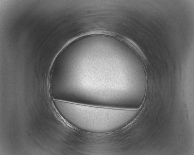 X0000083651292200702120826