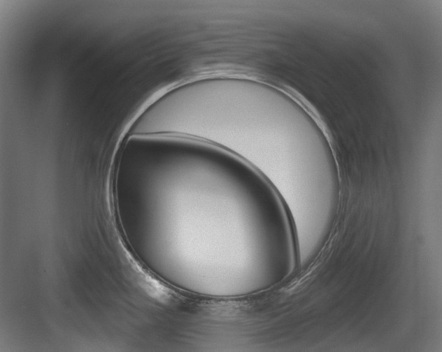 X0000083651293200702120826