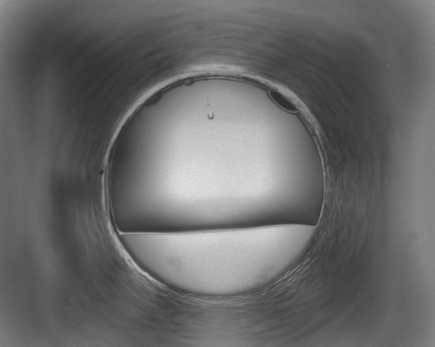 X0000083651295200702120826