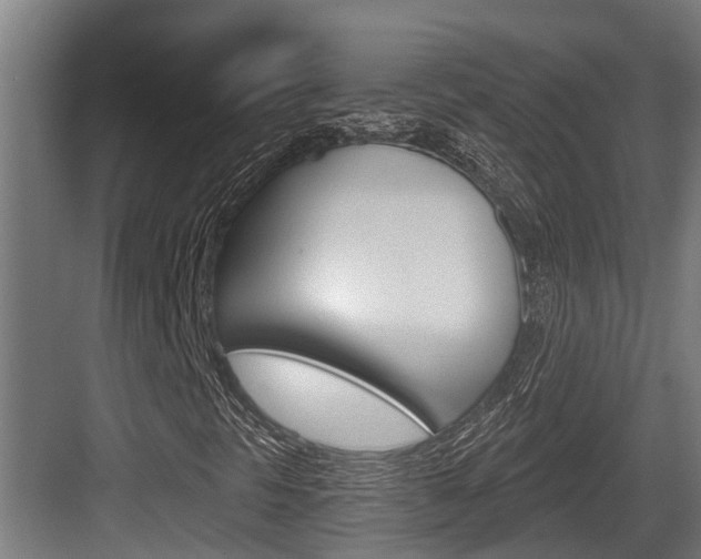 X0000083651297200702120826