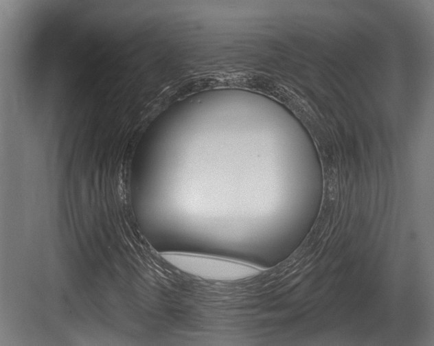 X0000083651298200702120826