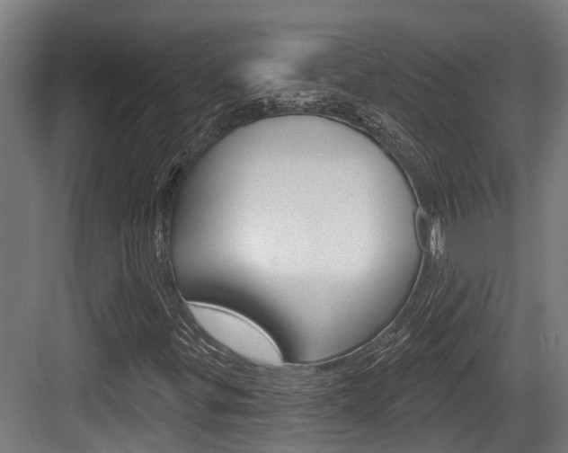 X0000083651299200702120826