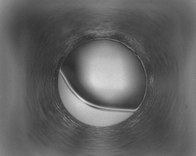 X0000083651300200702120826