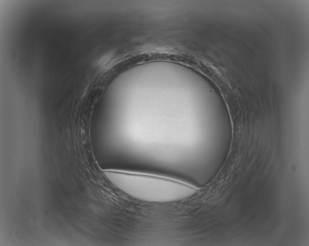 X0000083651303200702120826