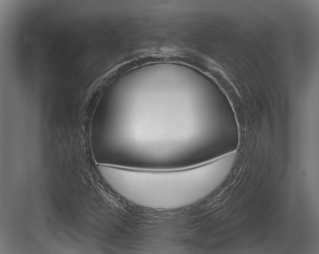 X0000083651304200702120826