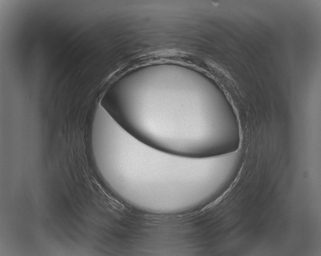 X0000083651305200702120826