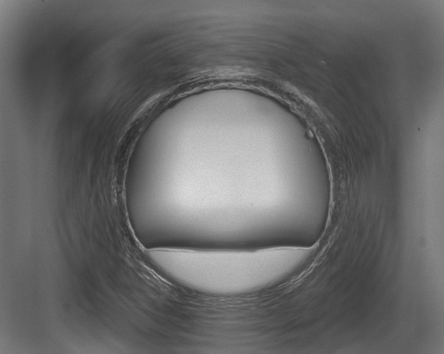 X0000083651306200702120826