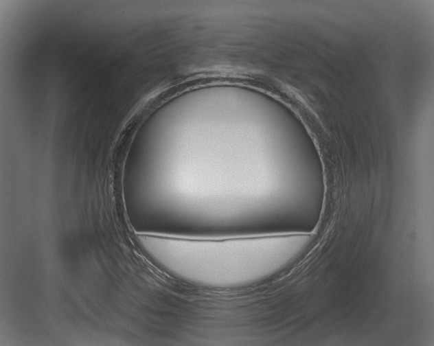 X0000083651307200702120826