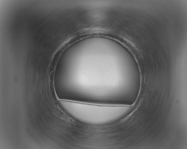 X0000083651309200702120826