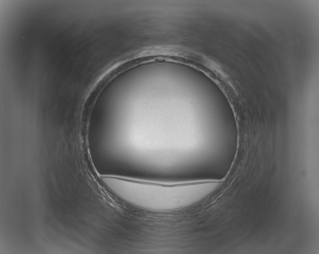 X0000083651312200702120826