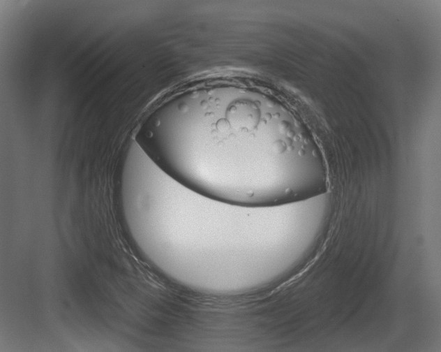 X0000083651313200702120826