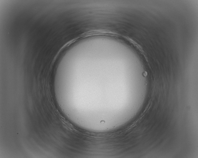 X0000083651314200702120826