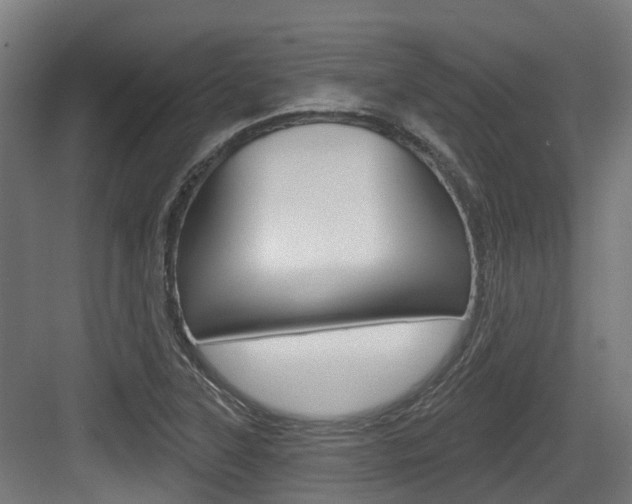 X0000083651315200702120826