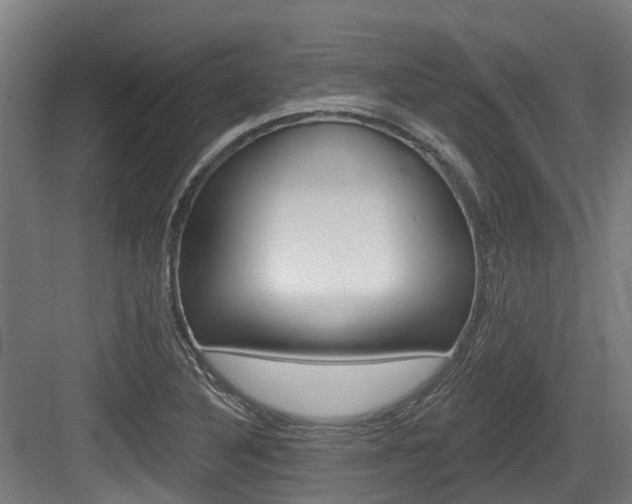 X0000083651316200702120826