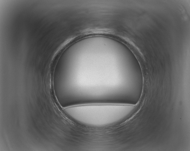 X0000083651317200702120826