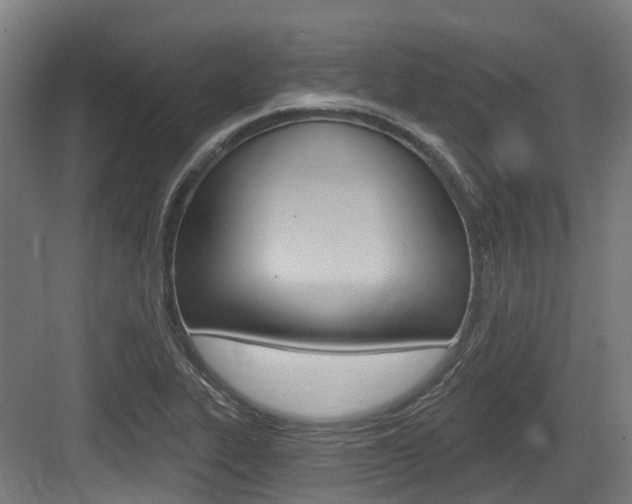 X0000083651319200702120826