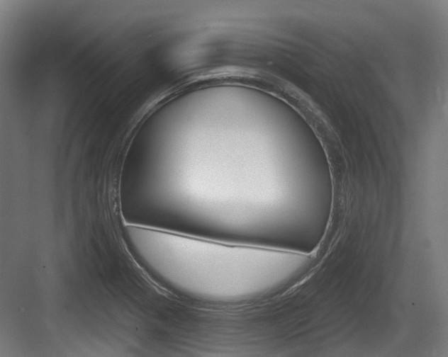 X0000083651321200702120826