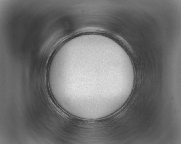 X0000083651322200702120826