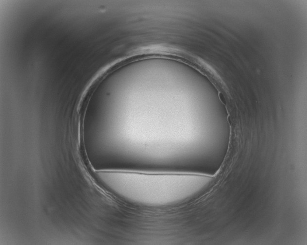X0000083651323200702120826