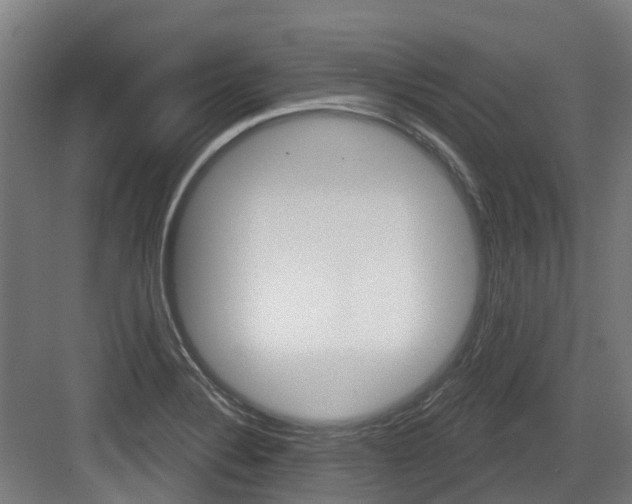 X0000083651324200702120826