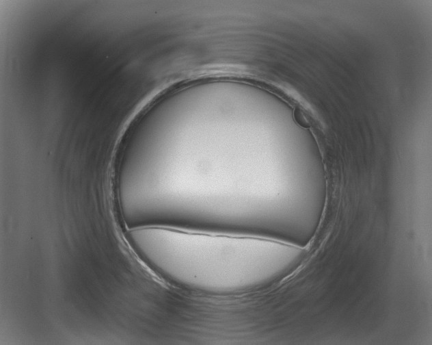 X0000083651325200702120826