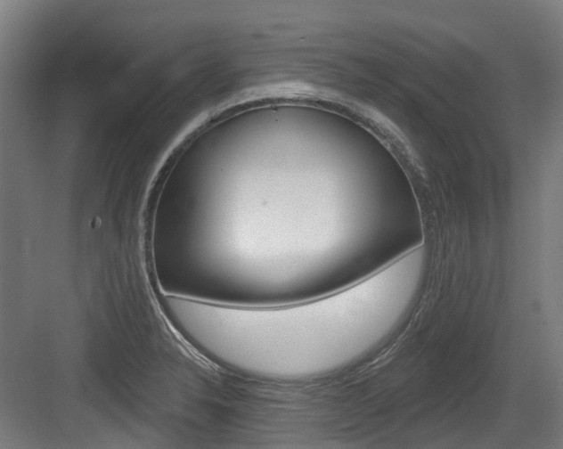 X0000083651326200702120826