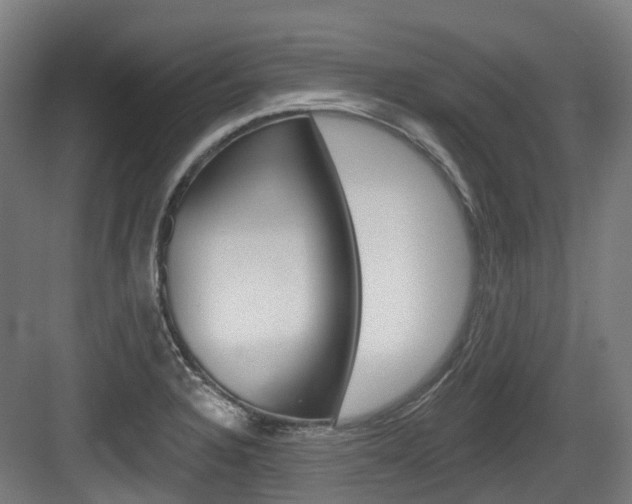 X0000083651328200702120826