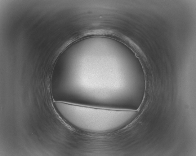 X0000083651329200702120826