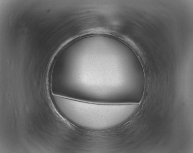 X0000083651331200702120826