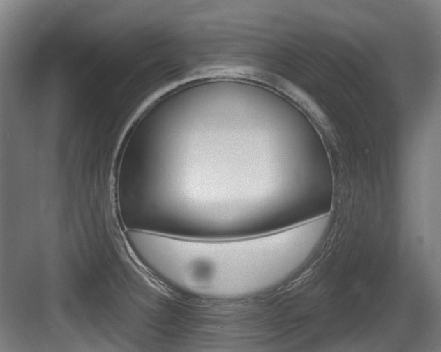 X0000083651332200702120826