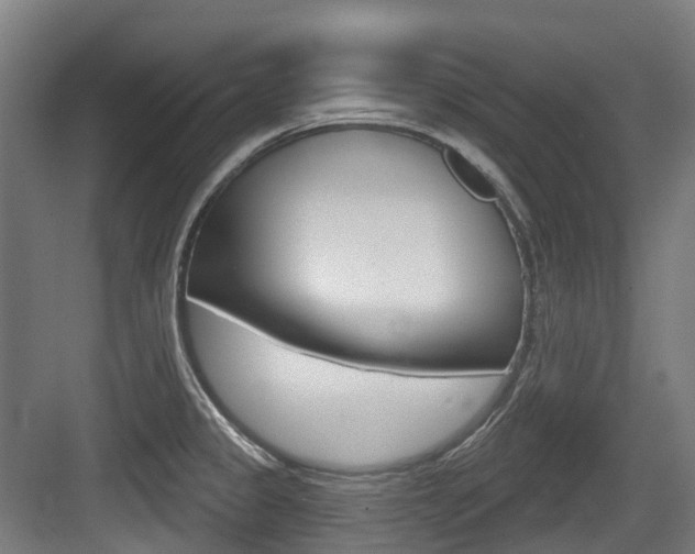 X0000083651333200702120826