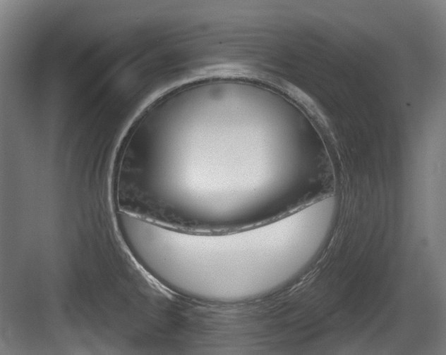 X0000083651334200702120826