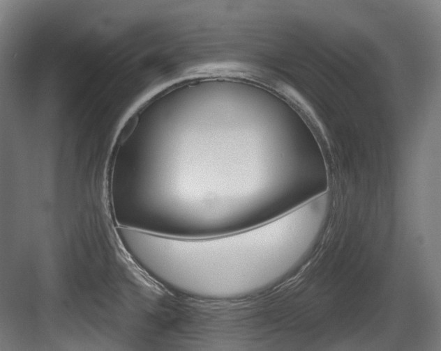 X0000083651336200702120826