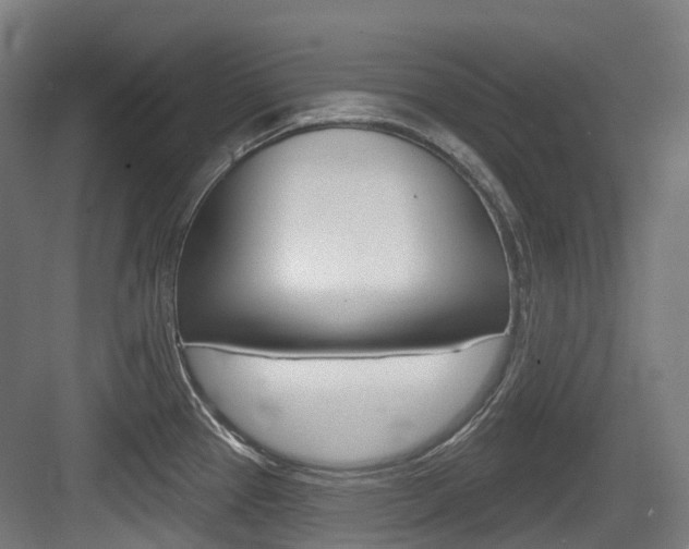 X0000083651337200702120826
