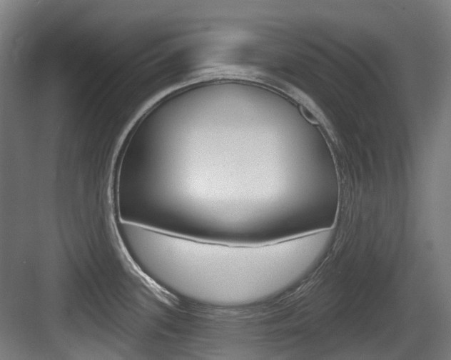 X0000083651339200702120826