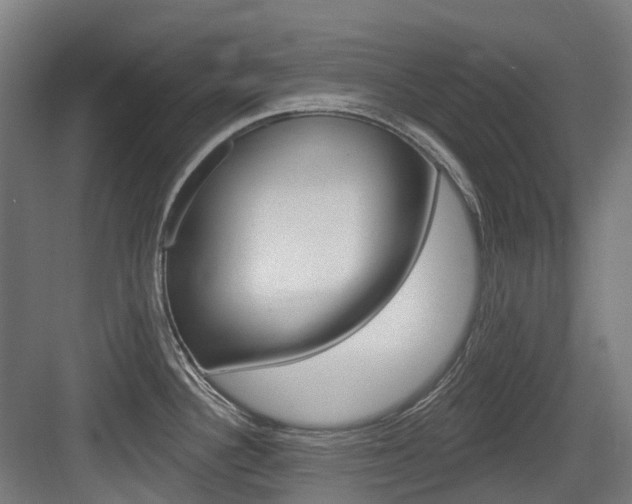X0000083651340200702120826