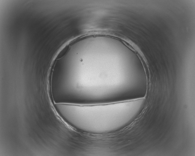 X0000083651341200702120826