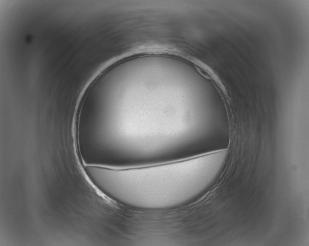 X0000083651343200702120826