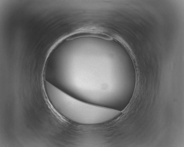 X0000083651344200702120826