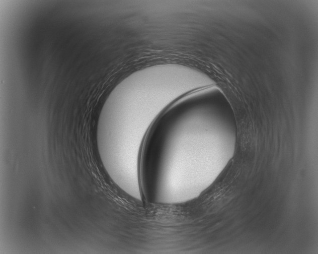 X0000083651345200702120826