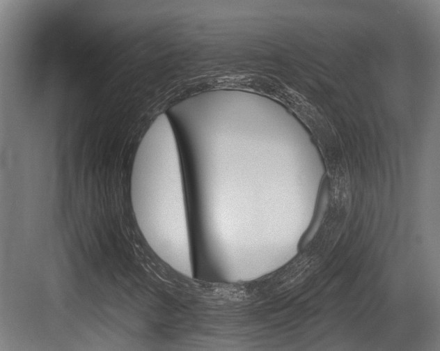X0000083651346200702120826