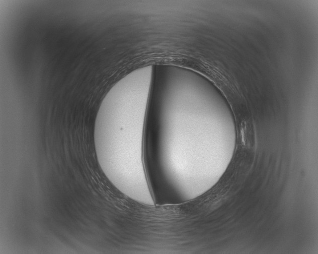 X0000083651347200702120826