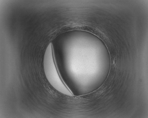 X0000083651348200702120825