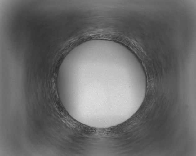 X0000083651350200702120825