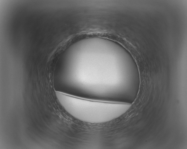 X0000083651351200702120825