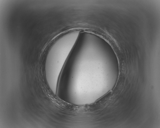 X0000083651352200702120825