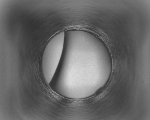 X0000083651353200702120825