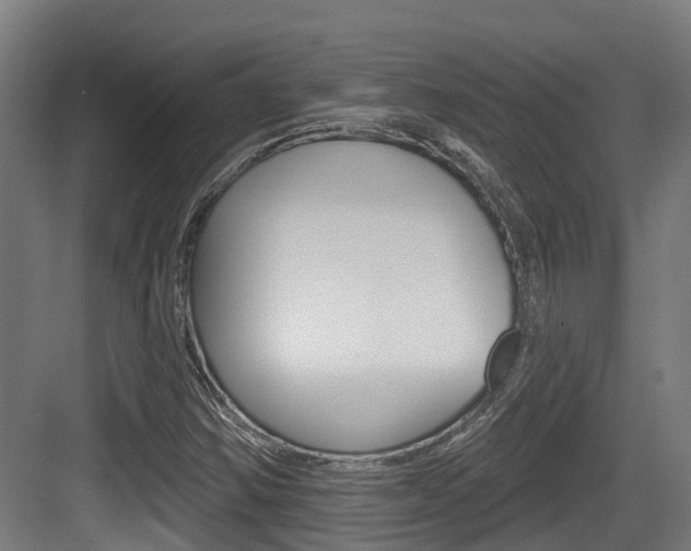 X0000083651354200702120825