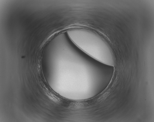 X0000083651355200702120825